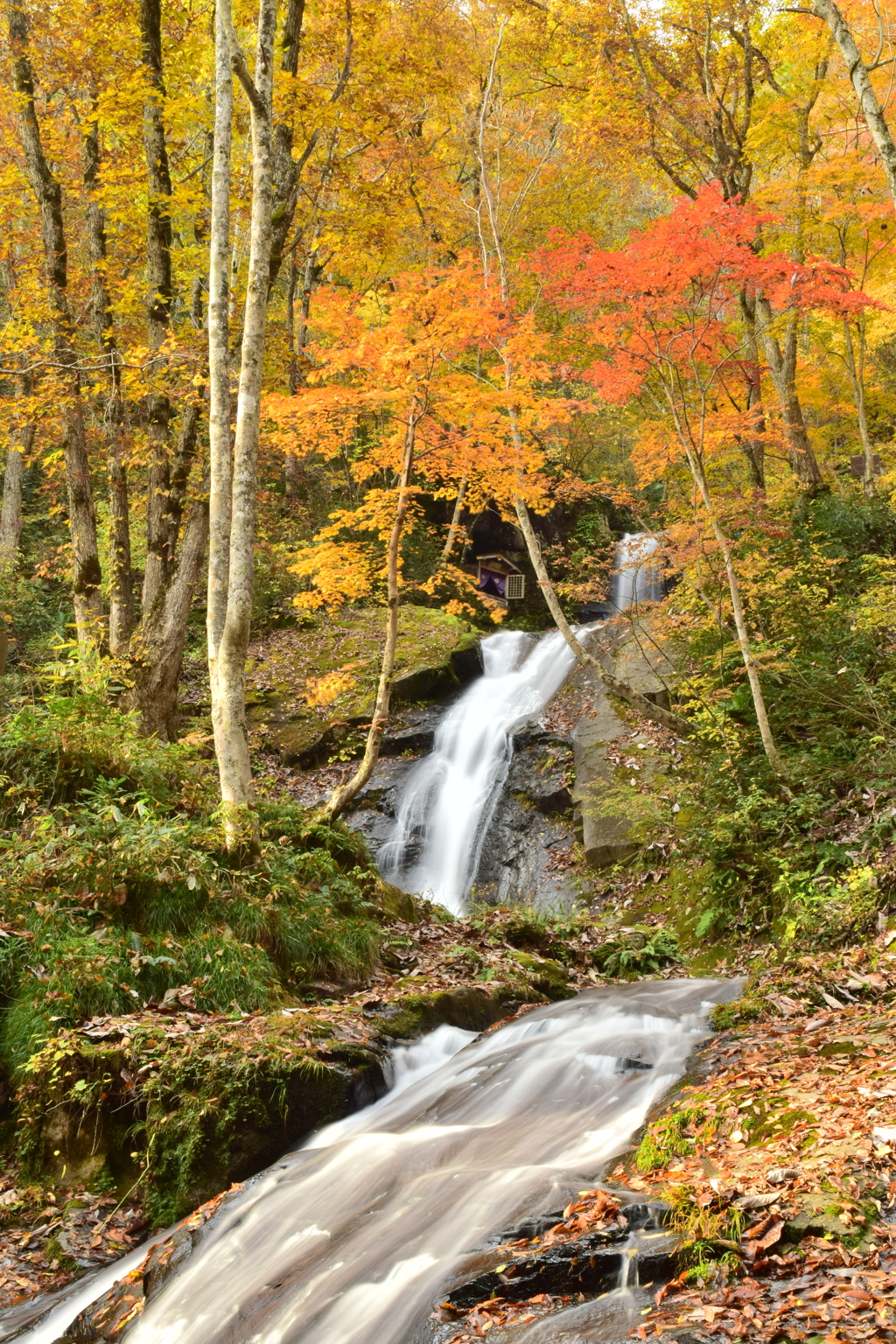 宇津江四十八滝