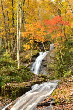 宇津江四十八滝