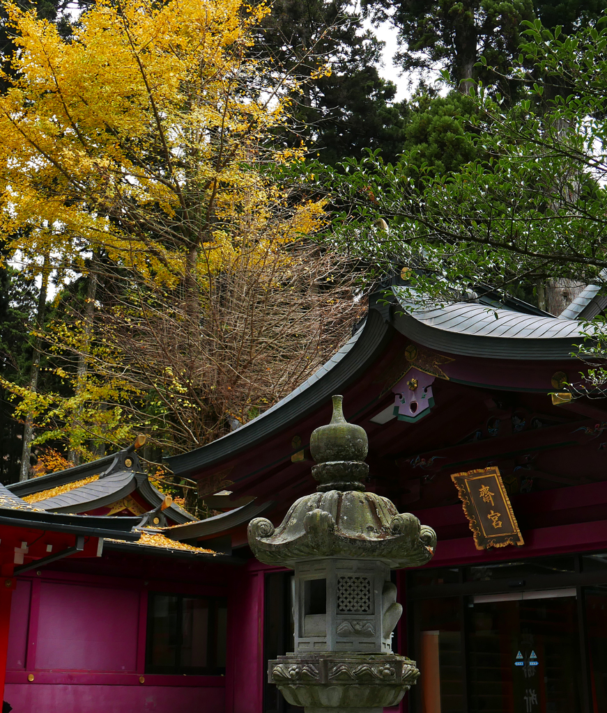 箱根神社～齋宮