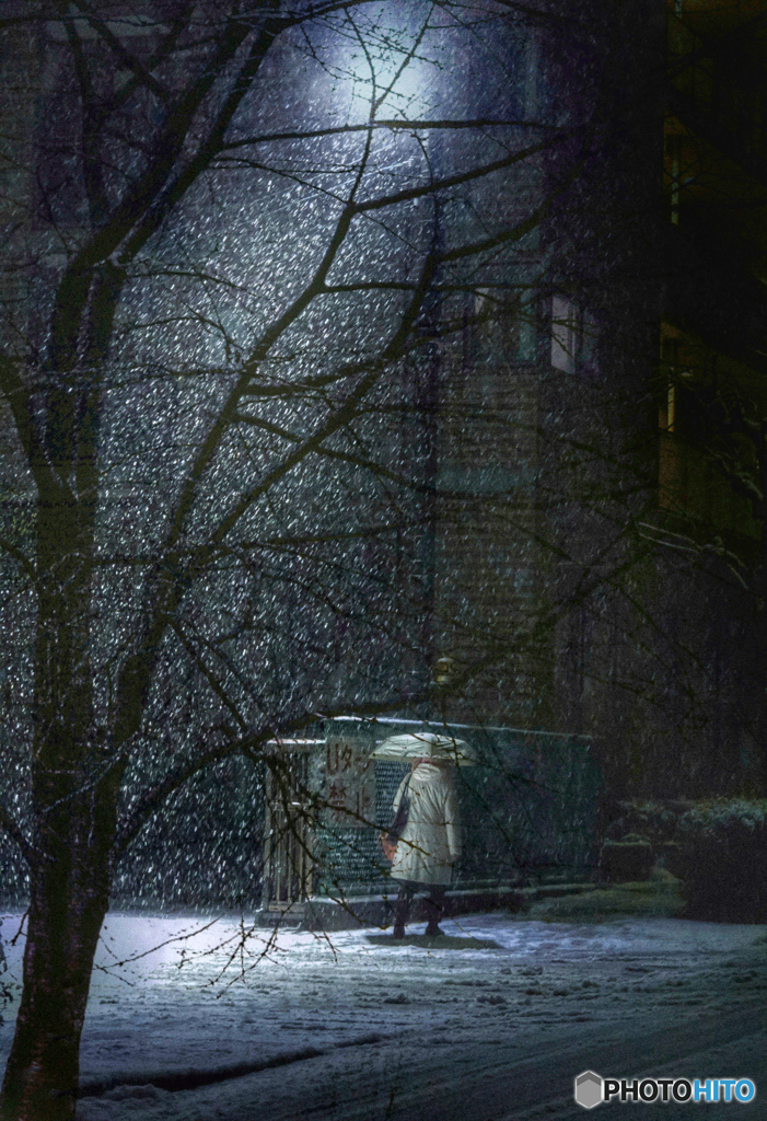 Snow in Tokyo