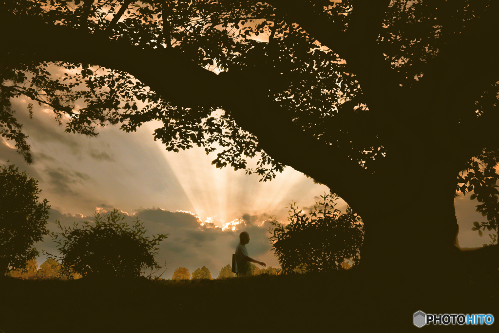 Walking on the hill in the magic hour