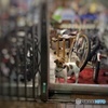 元気だったんだね(^.^)