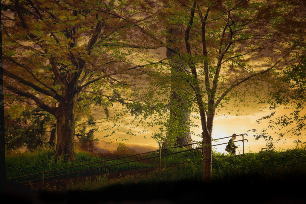 Magic Hour