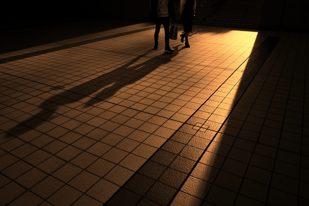 恋人たちの影
