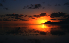 夕照に向かう