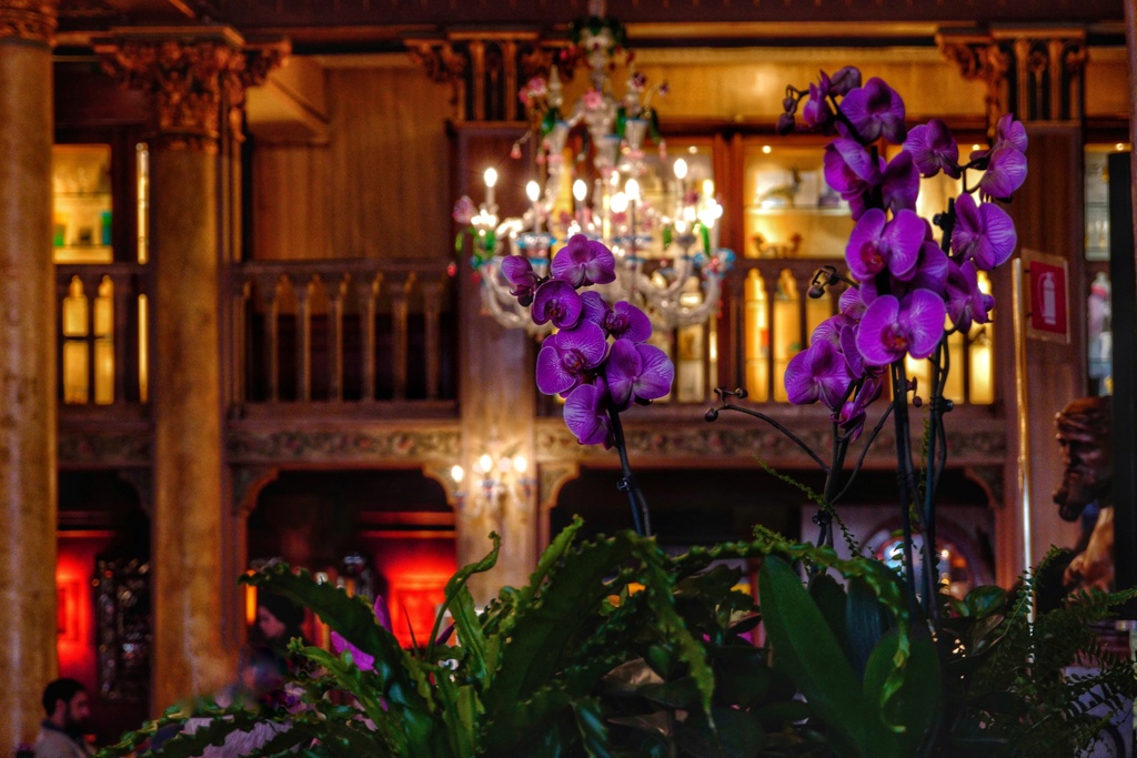 The lobby of Hotel Danieli