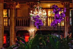 The lobby of Hotel Danieli