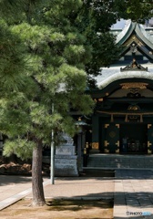 穴八幡宮御本殿