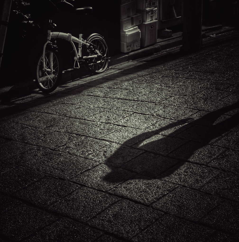 The  Shadow