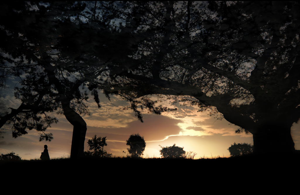 Magic Hour Ⅱ