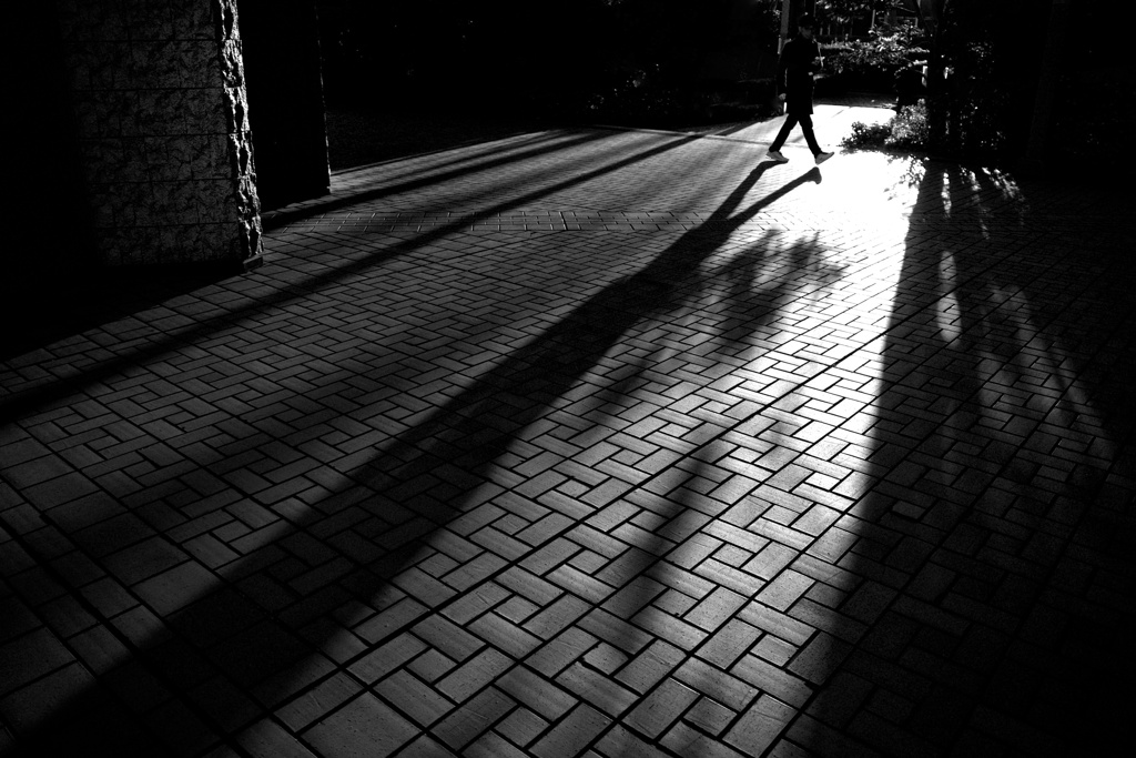 long shadow