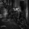 駐禁