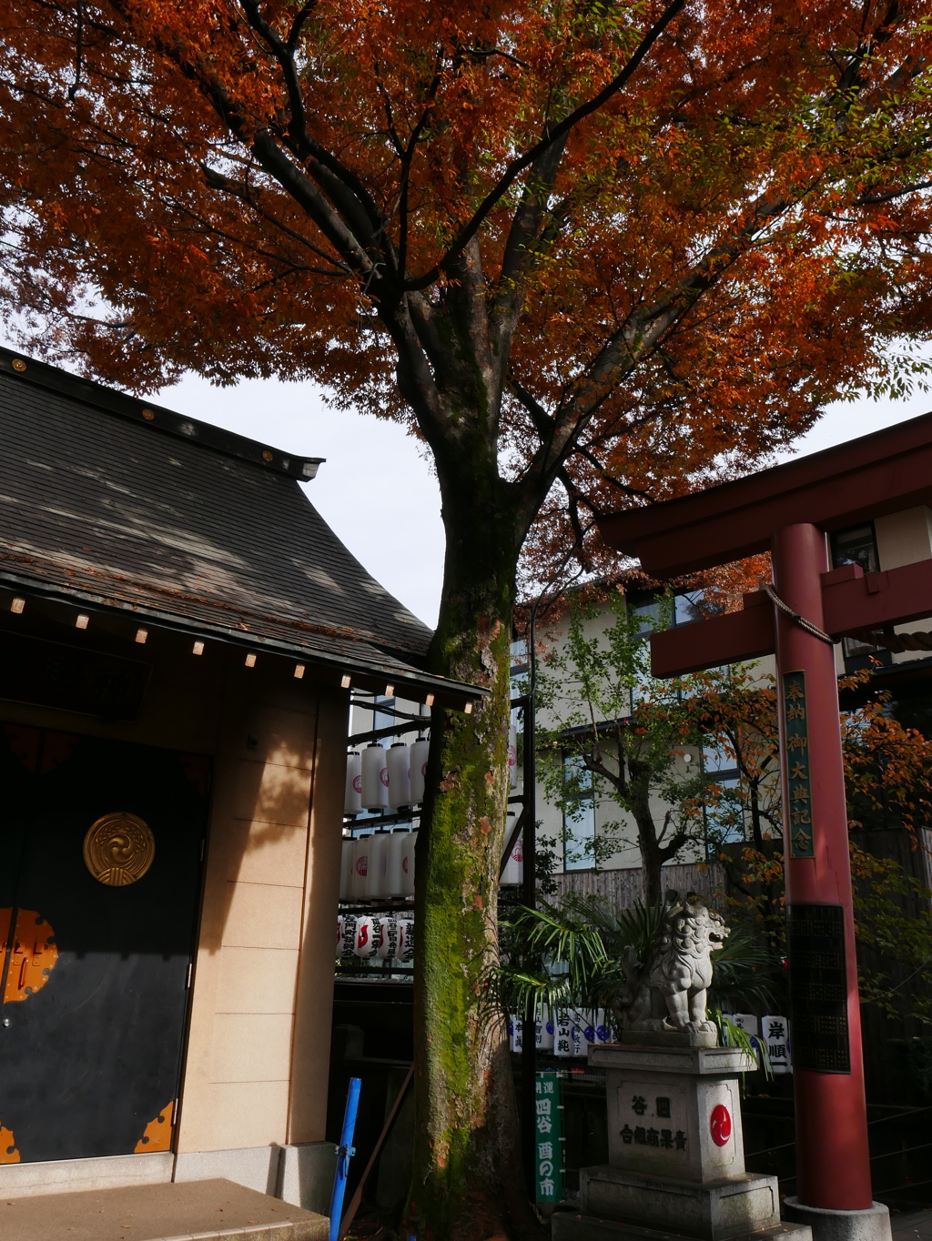 東京四谷の須賀神社様