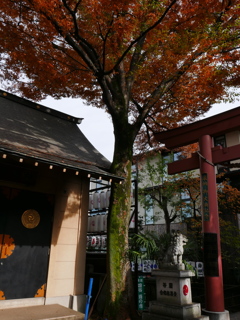 東京四谷の須賀神社様