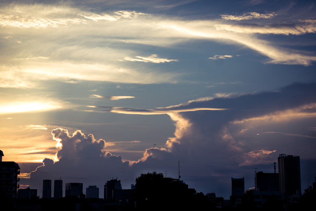 夏雲