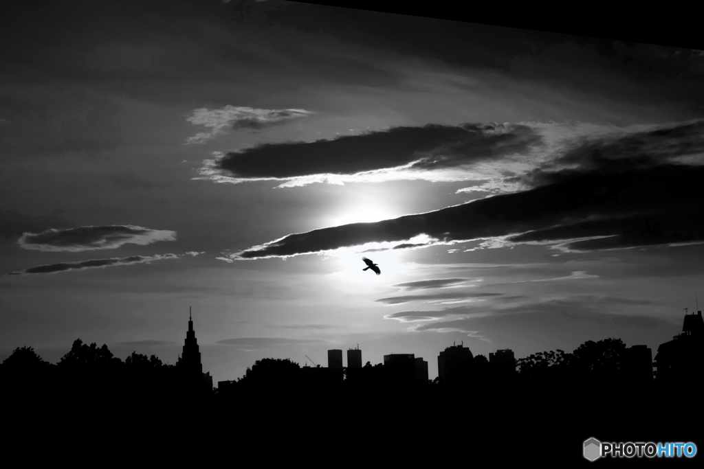 Fly me to the Sky
