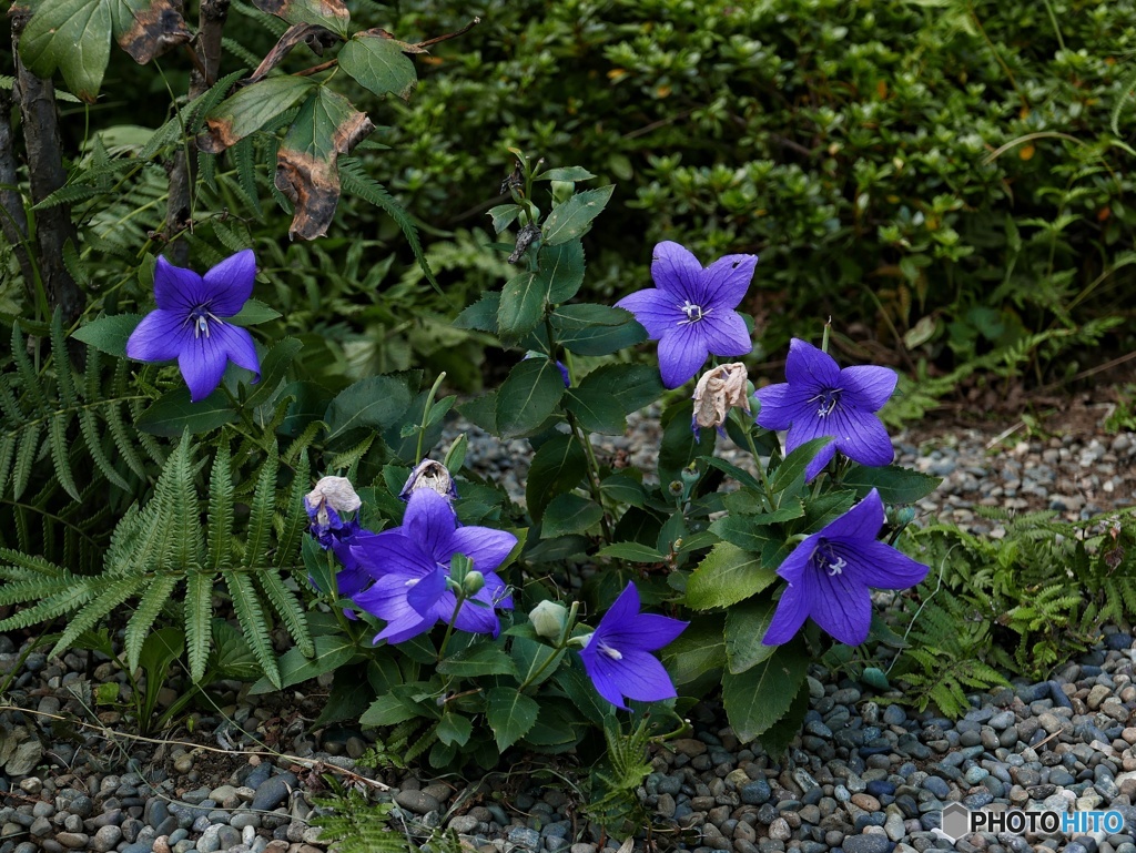 一緒に生きる