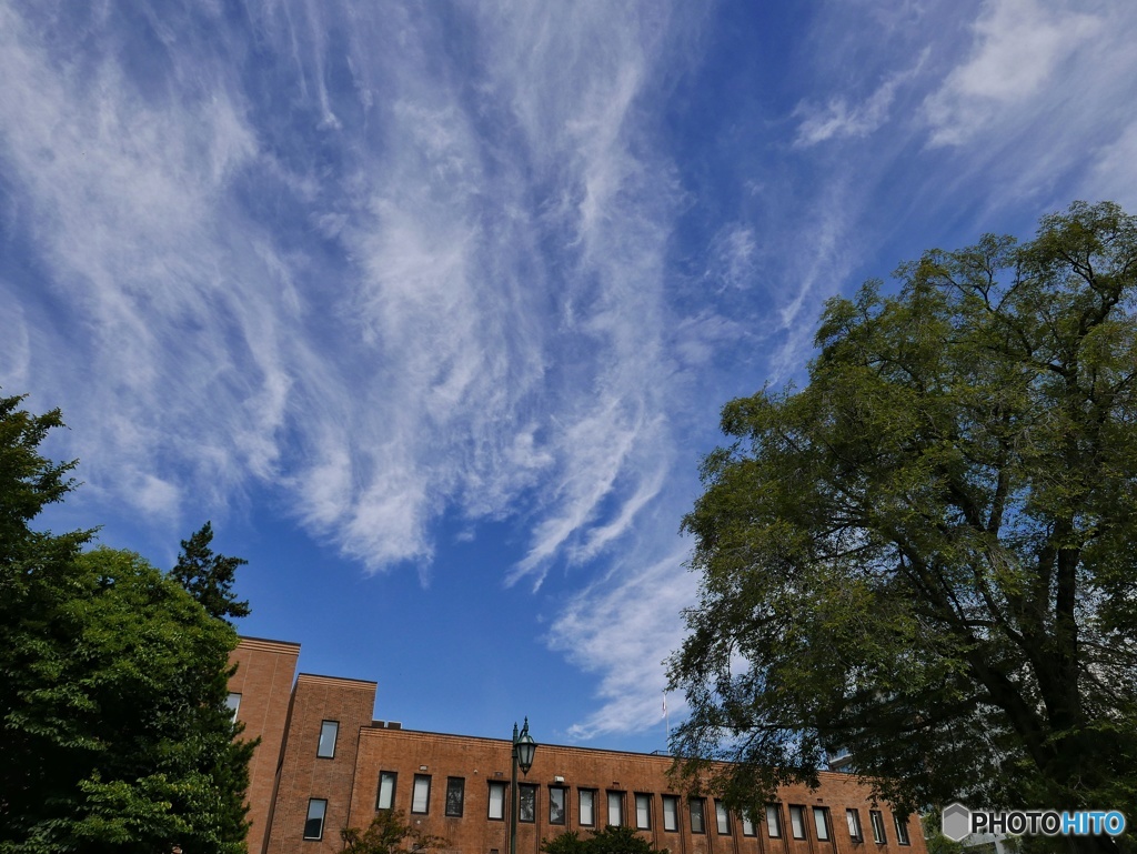 延びる筋雲