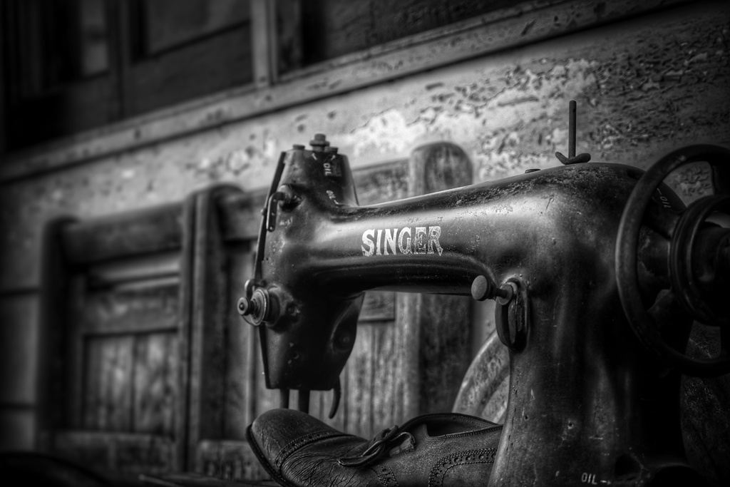 singer  monochrome