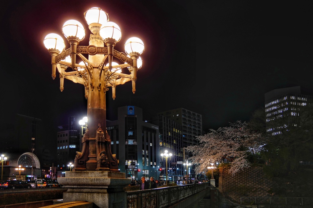 遠見の夜桜