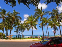 ♪ Walking  In  Waikiki  ♪