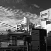 初冬の空