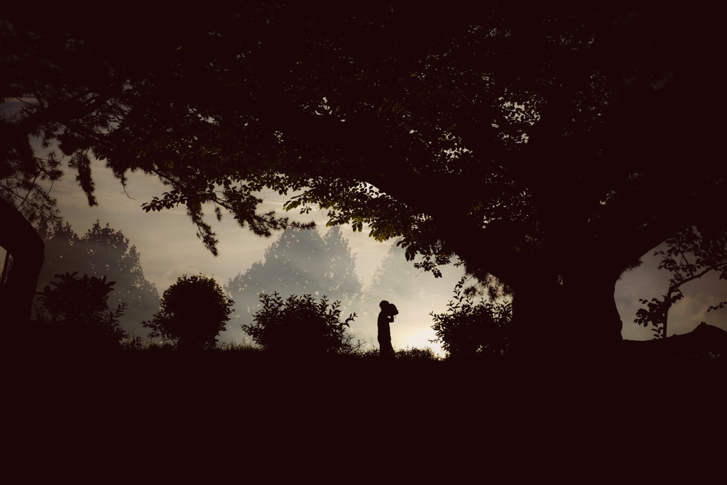 Silhouette in the forest