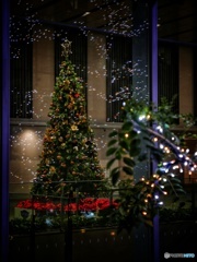  X'mas Tree