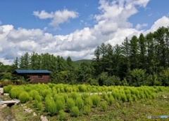 小屋のある風景