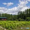 小屋のある風景