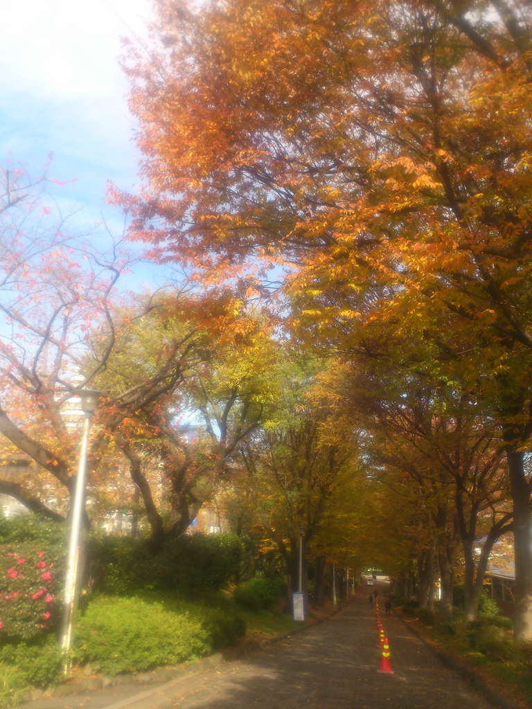 外濠公園