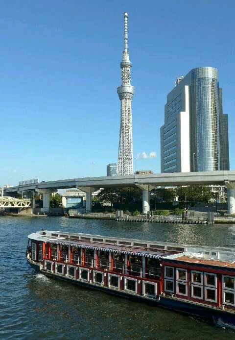 スカイツリーを望む