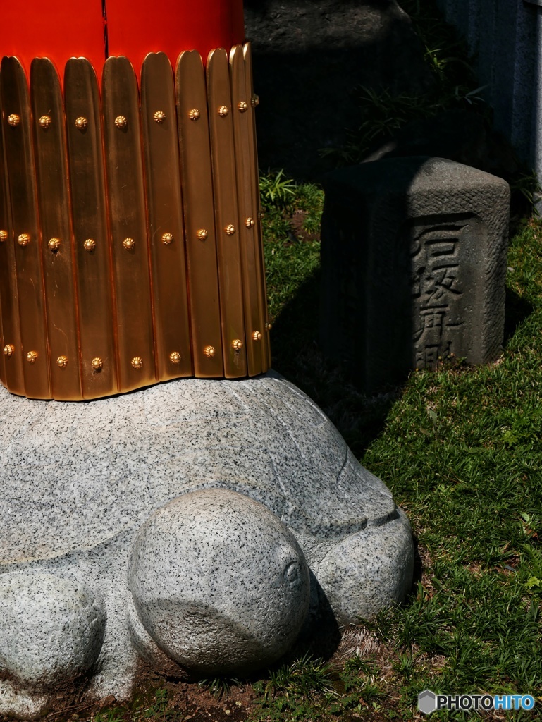 龜が支える鳥居 