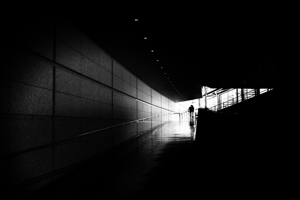 The light and shadow play