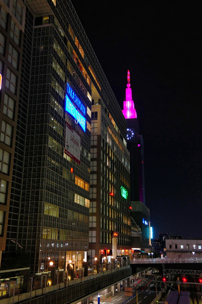 新宿駅大観