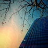 early twilight
