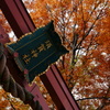 紅葉の時期