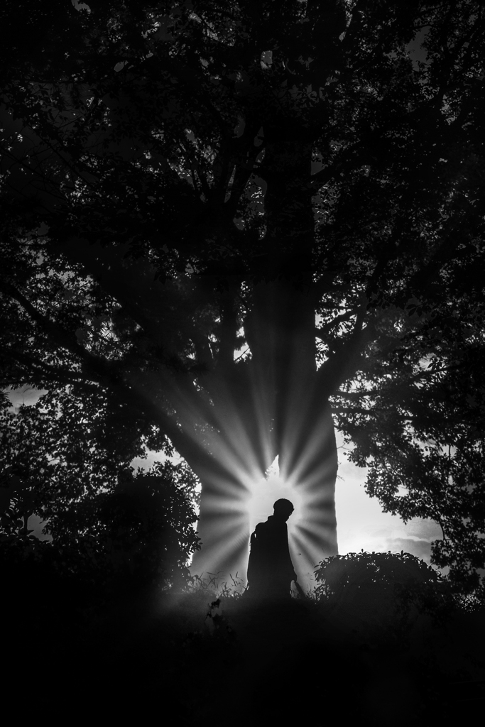 sunbeam
