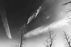 空のキャンバスで遊ぶ雲たち