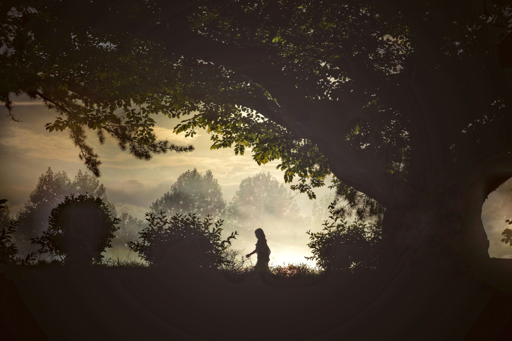 Magic Hour