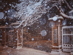 雪の学習院