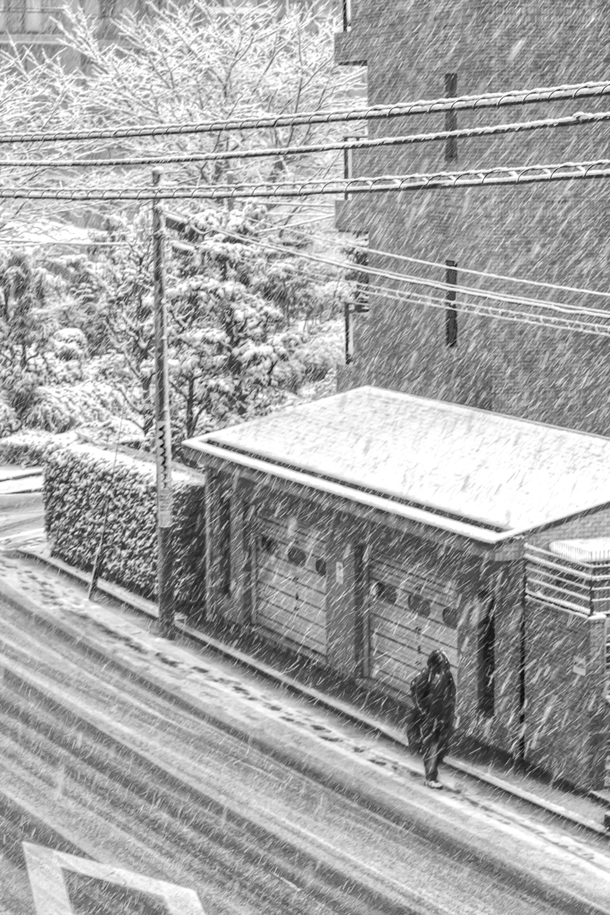 降りしきる雪