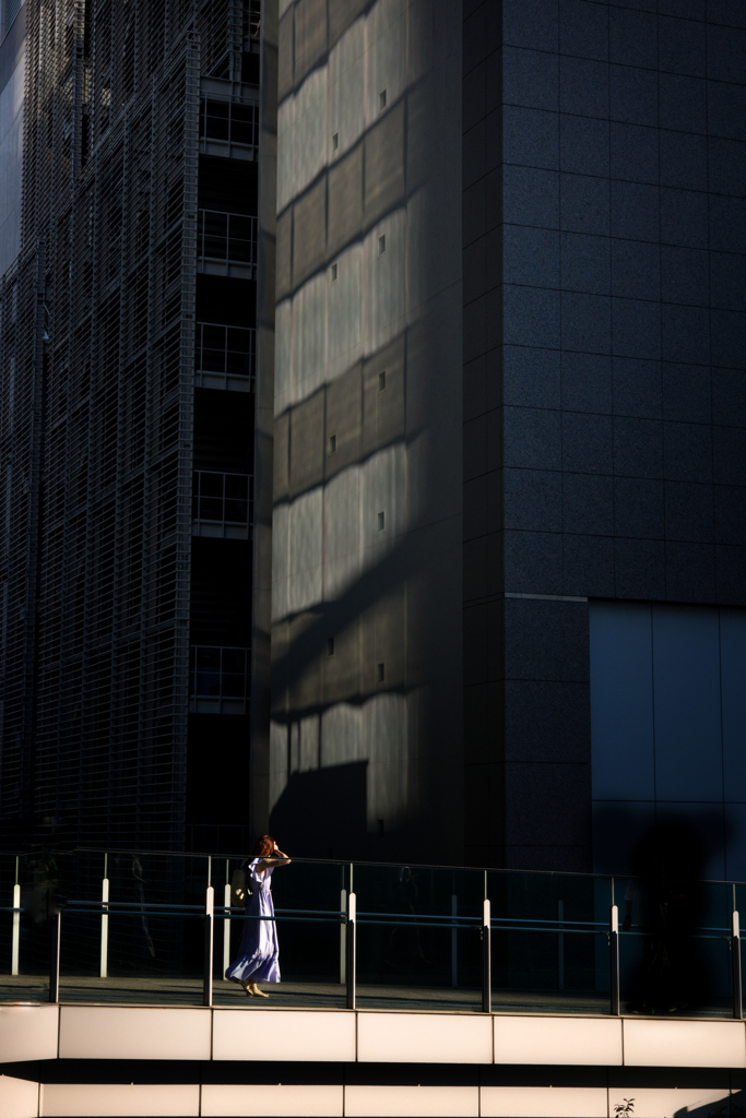 Sunny Day