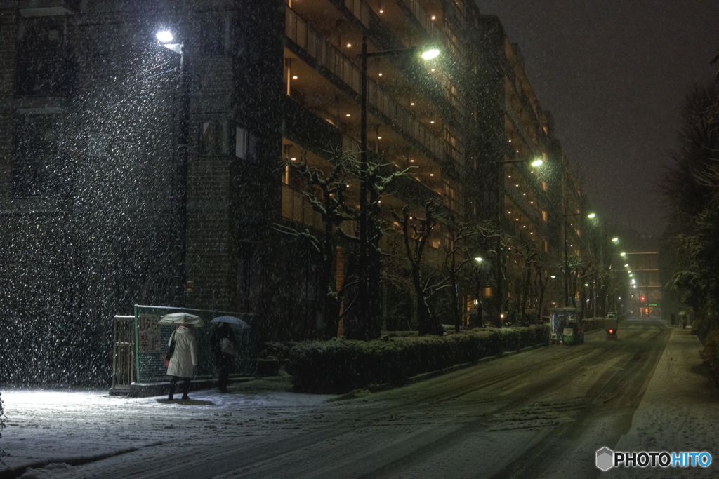 東京に雪が降った日