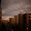 東京の夕暮れ
