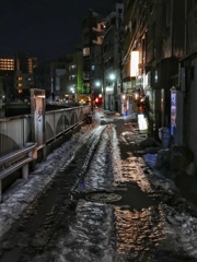 氷点下の東京