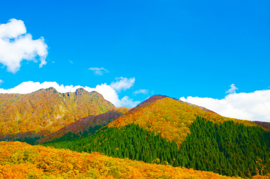 大山の紅葉