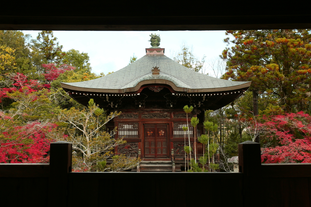 清涼寺庭園