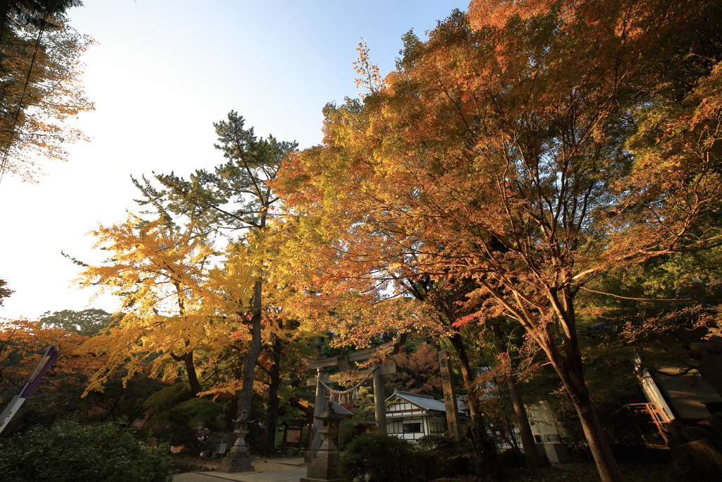 松平東照宮