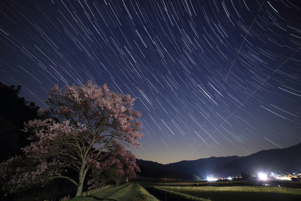 流星を期待して